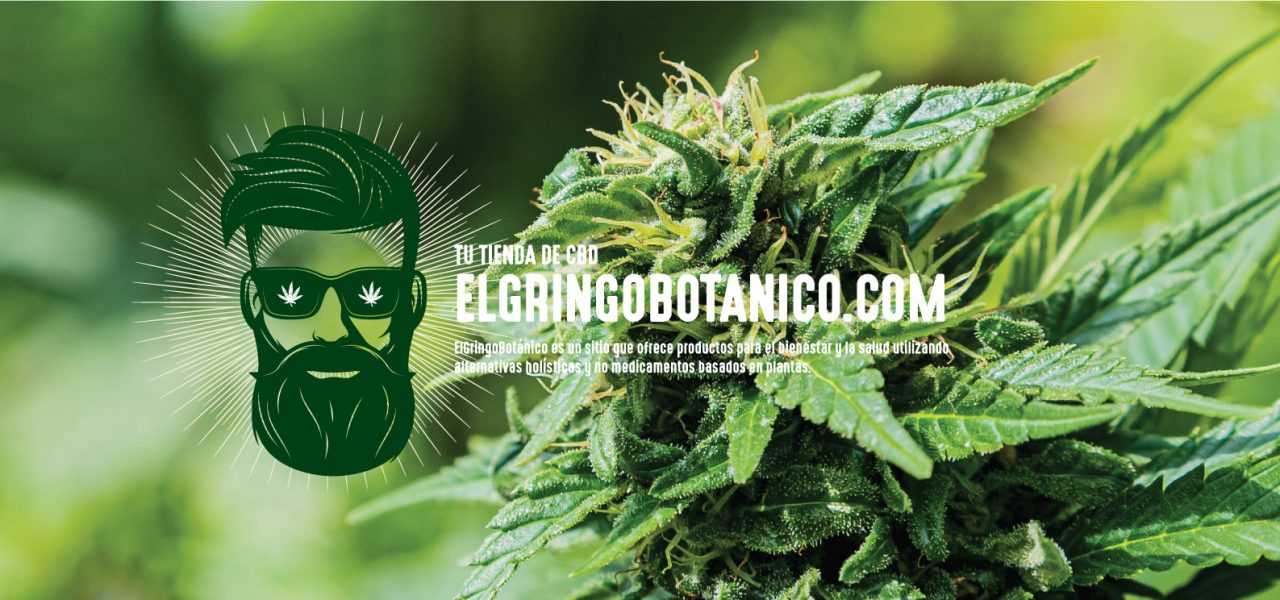 El Gringo FAQs